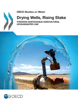 Drying Wells, Rising Stakes &ndash; Towards Sustainable Agricultural Groundwater Use -  Organisation for Economic Co-operation and Development (OECD)