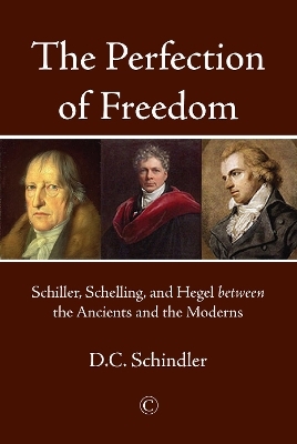 The The Perfection of Freedom - D.C. Schindler