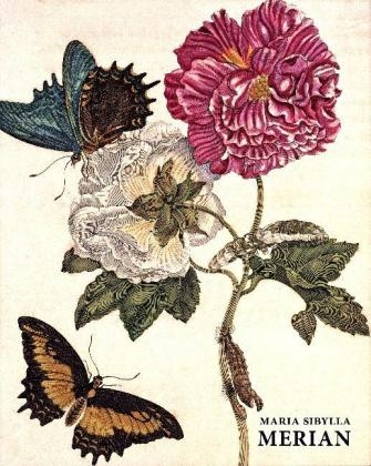 Maria Sibylla Merian - Daniel Kiecol