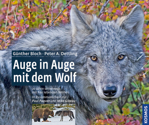 Auge in Auge mit dem Wolf - G&uuml;nther Bloch, Peter Dettling
