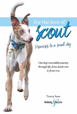 For the Love of Scout - Tracey Ison