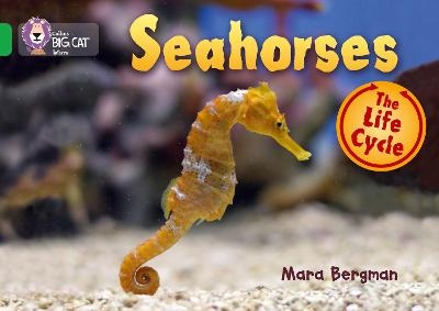 Seahorses - Mara Bergman