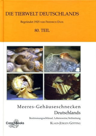 Meeres-Gehäuseschnecken Deutschlands