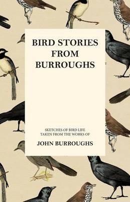 Bird Stories from Burroughs - Sketches of Bird Life Taken from the Works of John Burroughs - John Burroughs
