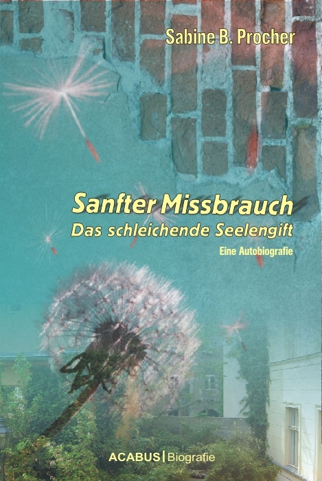 Sanfter Missbrauch. Das schleichende Seelengift - Sabine B. Procher