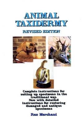 Animal Taxidermy