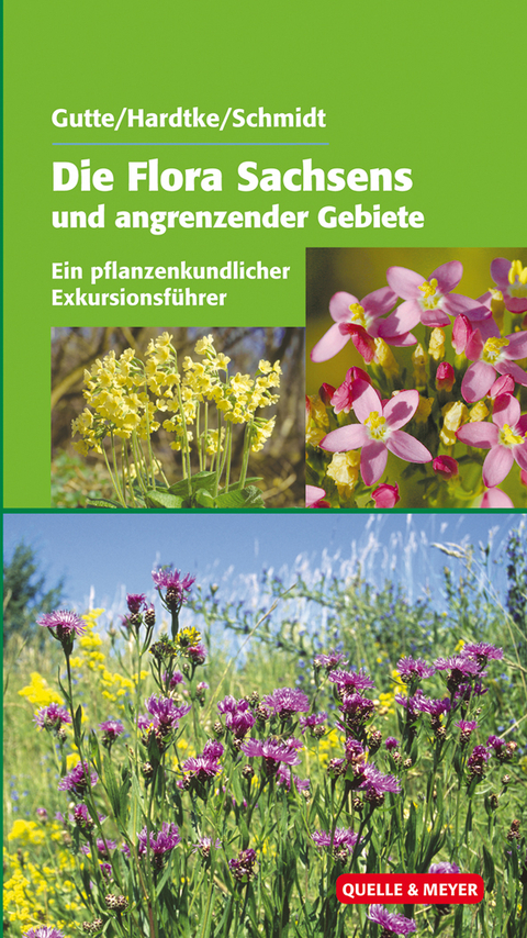 Die Flora Sachsens und angrenzender Gebiete - 