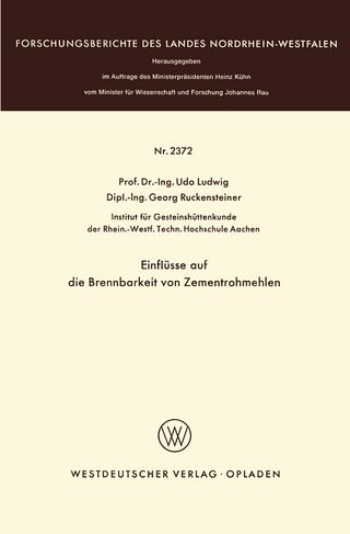 Einflüsse auf die Brennbarkeit von Zementrohmehlen