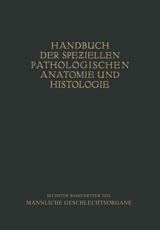 Harnorgane Männliche Geschlechtsorgane