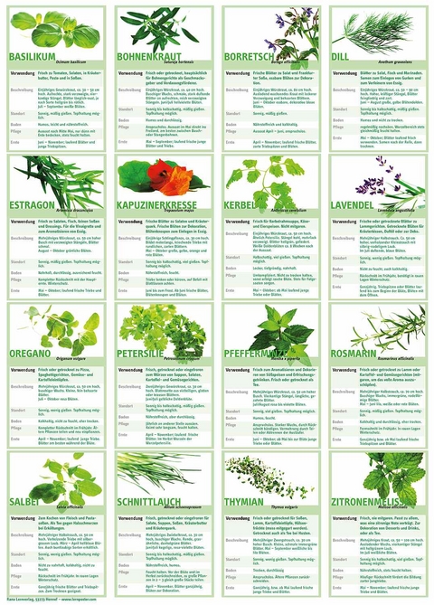 Poster K&uuml;chenkr&auml;uter - Werner Radler