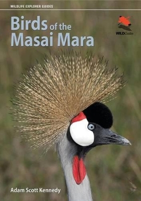 Birds of the Masai Mara - Adam Scott Kennedy