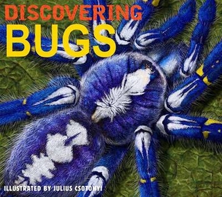 Discovering Bugs