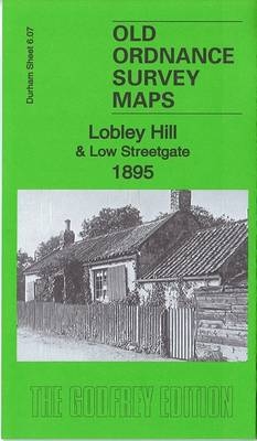Lobley Hill & Low Streetgate 1895 - Anthea Lang