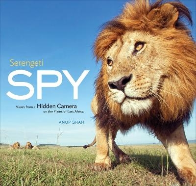 Serengeti Spy - Anup Shah