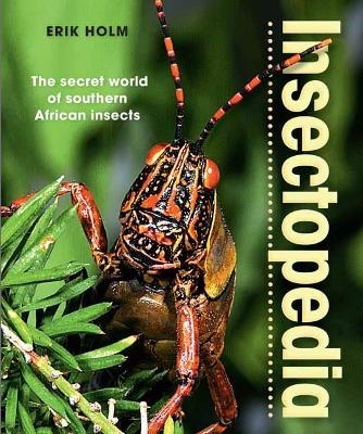 Insectopedia &ndash; The secret world of southern African insects - Erik Holm
