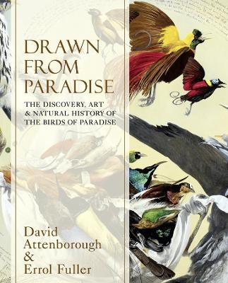 Drawn From Paradise - Sir David Attenborough, Errol Fuller
