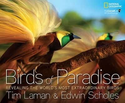Birds of Paradise - Tim Laman, Edwin Scholes