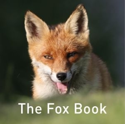 Nature Book Series: The Fox Book - Jane Russ