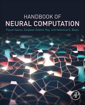 Handbook of Neural Computation - 
