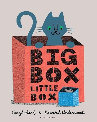 Big Box Little Box - Caryl Hart