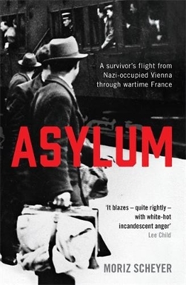 Asylum - Moriz Scheyer