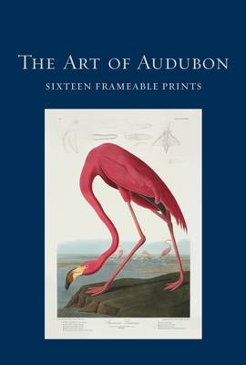 The Art of Audubon