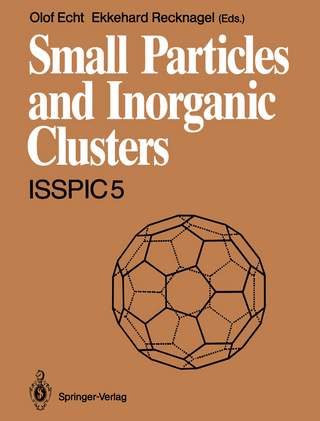 Small Particles and Inorganic Clusters