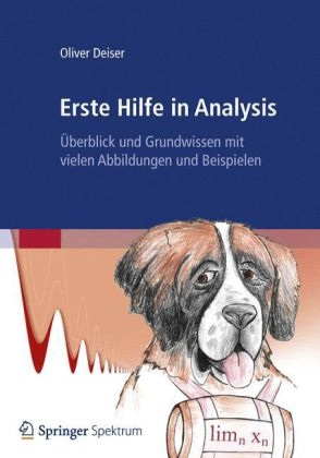 Erste Hilfe in Analysis