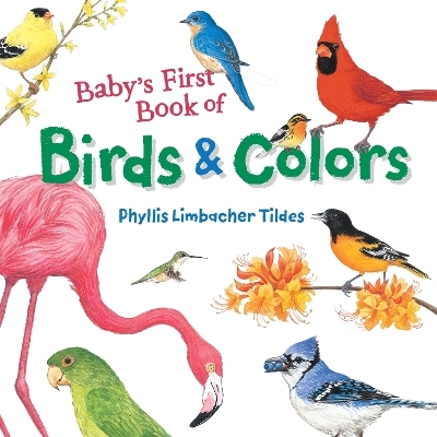 Baby's First Book of Birds & Colors - Phyllis Limbacher Tildes
