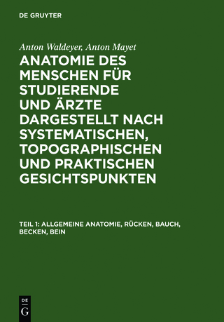 Anton Waldeyer; Anton Mayet: Anatomie des Menschen / Allgemeine Anatomie, Rücken, Bauch, Becken, Bein