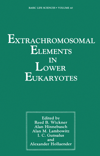 Extrachromosomal Elements in Lower Eukaryotes