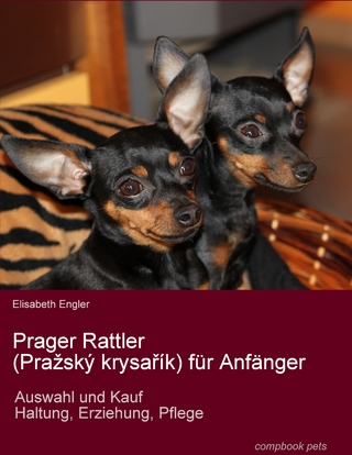 Prager Rattler (Pražský krysařík) für Anfänger