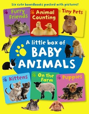 Little Box of Baby Animals -  Press Armadillo