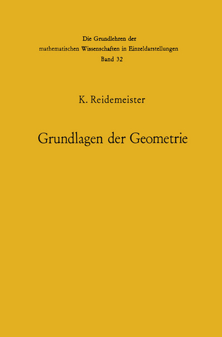 Vorlesungen über Grundlagen der Geometrie
