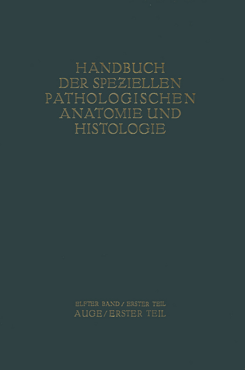 Auge - G. Abelsdorff, A. Elschnig, S. Ginsberg, R. Greeff, E. Hertel, E. v. Hippel, R. K&uuml;mmell, W. L&ouml;hlein, A. Peters, F. Schieck, E. Seidel, A. v. A?ily, K. Wessely