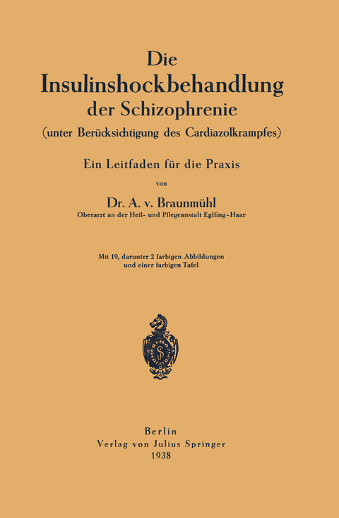 Die Insulinshockbehandlung der Schizophrenie - Anton von Braunm&uuml;hl