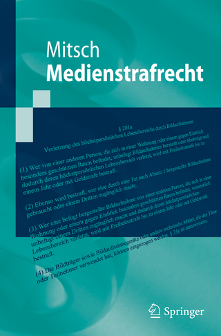 Medienstrafrecht