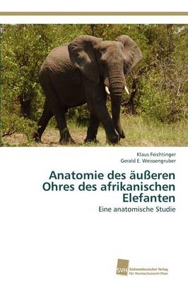 Anatomie des äußeren Ohres des afrikanischen Elefanten