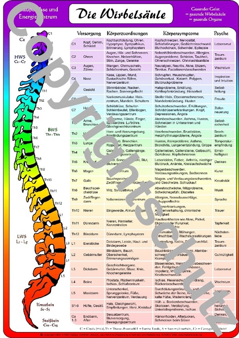 Wirbelsäulenzuordnungen - Tanja Aeckersberg