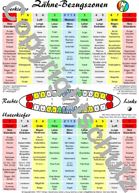 Zahnzonen - Tanja Aeckersberg