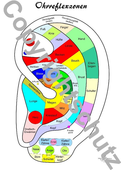 Reflexzonenübersicht - Ohr - Tanja Aeckersberg