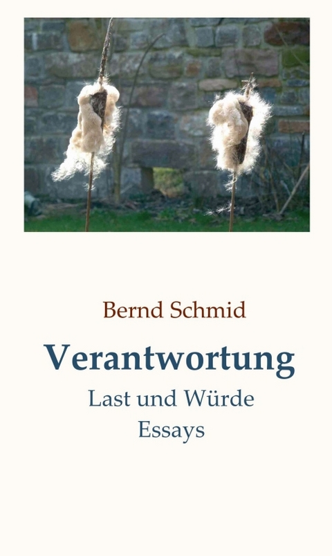 Verantwortung - Bernd Schmid