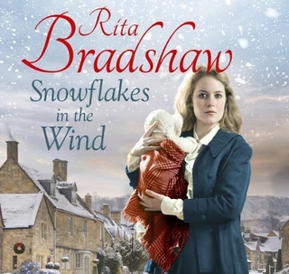 Snowflakes in the Wind