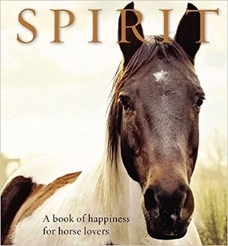 Spirit