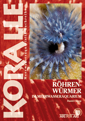 R&ouml;hrenw&uuml;rmer im Meerwasseraquarium - Daniel Knop