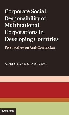 Corporate Social Responsibility of Multinational Corporations in Developing Countries