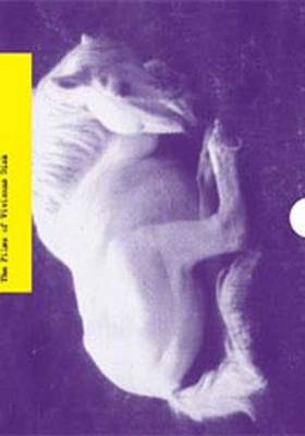 Between Truth and Fiction