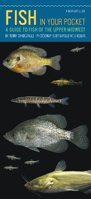 Fish in Your Pocket - Terry VanDeWalle