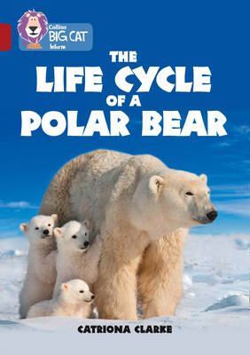 The Life Cycle of a Polar Bear - Catriona Clarke