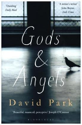 Gods and Angels - David Park